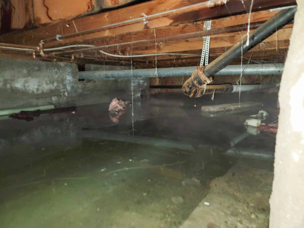 Water damage restoration mold remediation in East Hills, NY