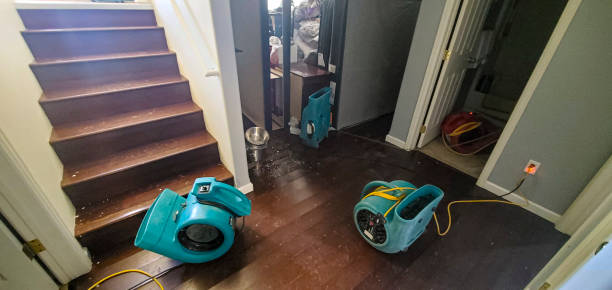 Best Water damage cleanup near me  in East Hills, NY