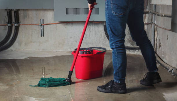 Best Sewage cleanup and water damage restoration  in East Hills, NY