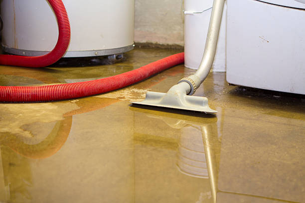 Best Water damage contractors near me  in East Hills, NY