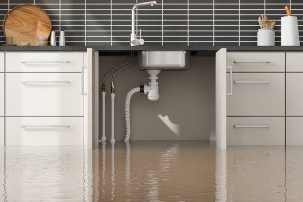 Best Water damage restoration specialists  in East Hills, NY