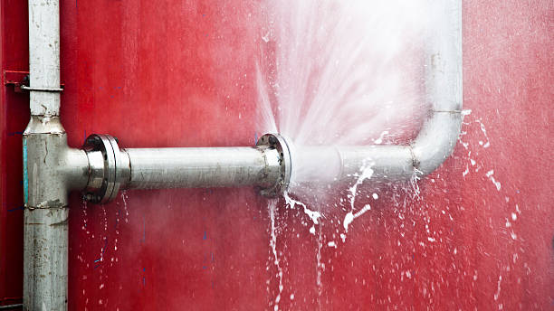 Best Flooded house restoration  in East Hills, NY